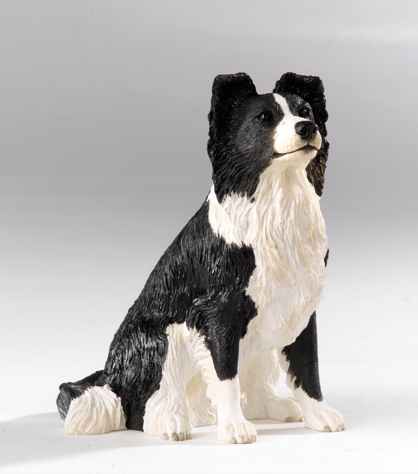 Borer Fine Arts Border Collie Dog Sitting